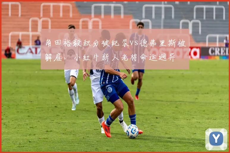 角田裕毅积分破纪录vs德弗里斯被解雇，小红牛新人老将命运迥异